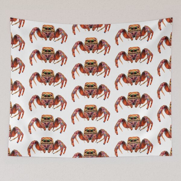 Item preview, Spider Psychedelic designed and sold by Claire Chapuis.
