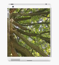 Windy Day - The Blue & The Green 012 iPad Case/Skin