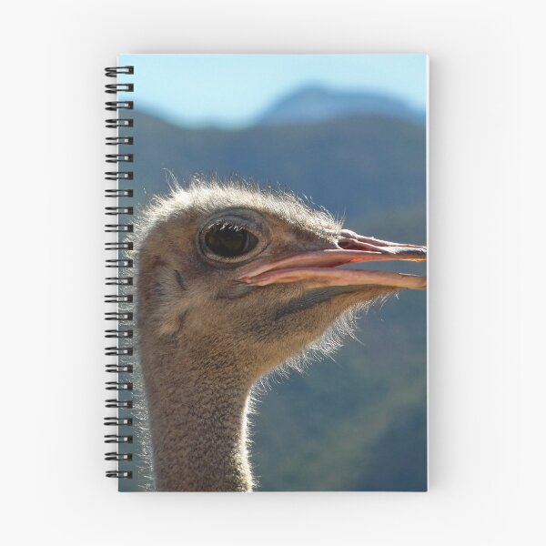 Item preview, Ostrich Head designed and sold by Lynn Bolt.