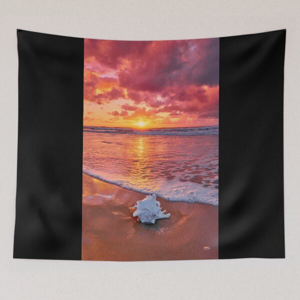 Item preview, Shelly Sunrise designed and sold by Adam Gormley.