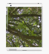 Windy Day - The Blue & The Green 014 iPad Case/Skin