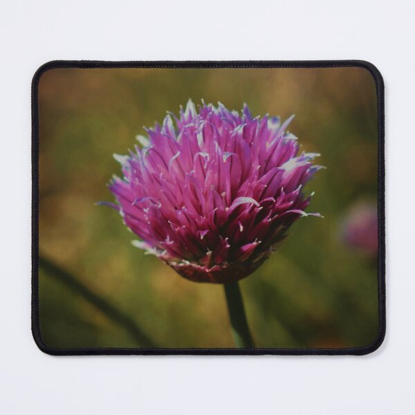 Item preview, Verna designed and sold by Melanie Uadjit.