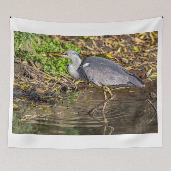 Item preview, Grey Heron designed and sold by grumpykeith.