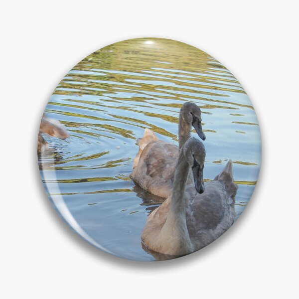 Item preview, Swans Swim By Mount Stewart Pond Northern Ireland designed and sold by eddiebarronshop.