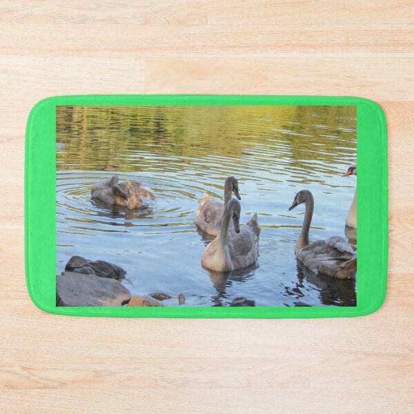 Item preview, Swans Swim By Mount Stewart Pond Northern Ireland designed and sold by eddiebarronshop.