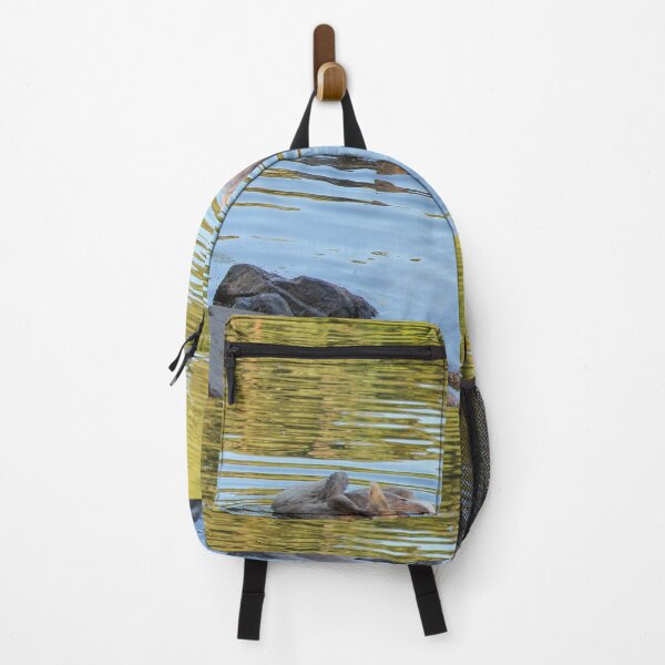 Item preview, Swans Swim By Mount Stewart Pond Northern Ireland designed and sold by eddiebarronshop.