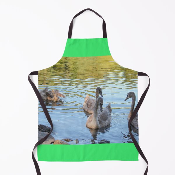Item preview, Swans Swim By Mount Stewart Pond Northern Ireland designed and sold by eddiebarronshop.