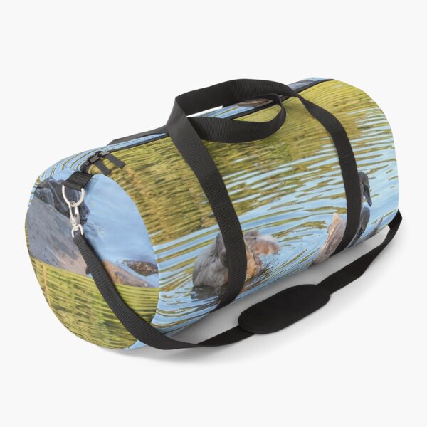 Item preview, Swans Swim By Mount Stewart Pond Northern Ireland designed and sold by eddiebarronshop.