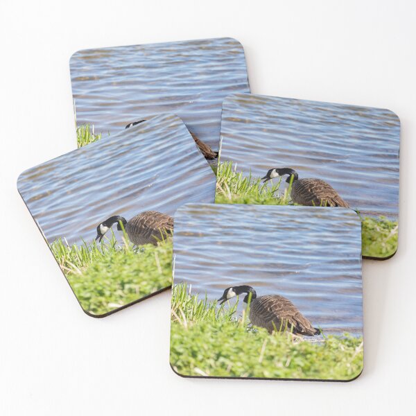 Item preview, A Canada Goose designed and sold by Tanya C  Smith.