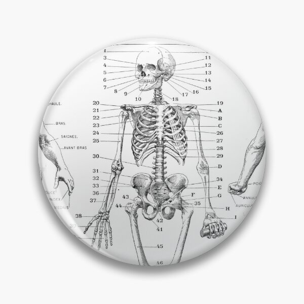 Item preview, Anatomy (1932) - Larousse du XXe siècle designed and sold by SALON DES ARTS.