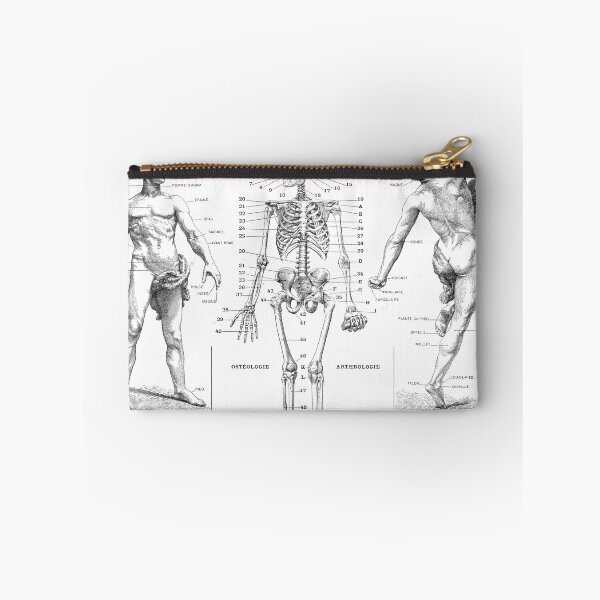 Item preview, Anatomy (1932) - Larousse du XXe siècle designed and sold by SALON DES ARTS.