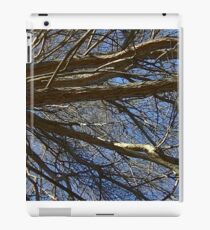 Windy Day - The Blue & The Green 017 iPad Case/Skin