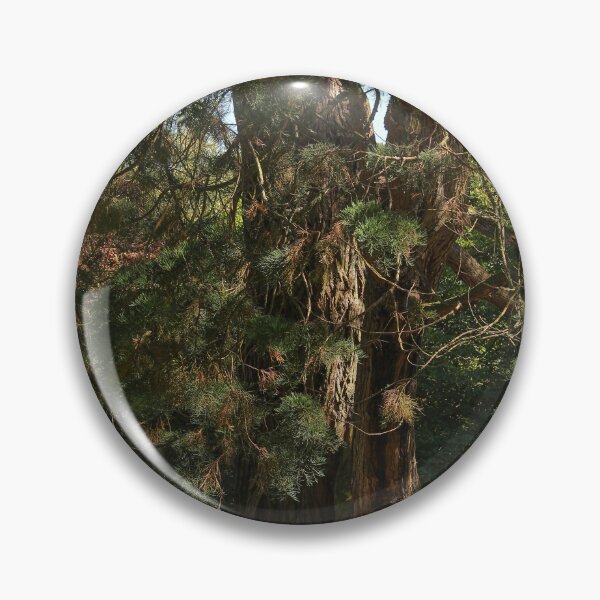 Item preview, Tree in the Late Summer Sun Vertical Mount Stewart Northern Ireland designed and sold by eddiebarronshop.