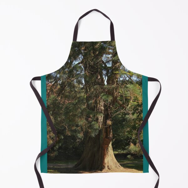 Item preview, Tree in the Late Summer Sun Vertical Mount Stewart Northern Ireland designed and sold by eddiebarronshop.