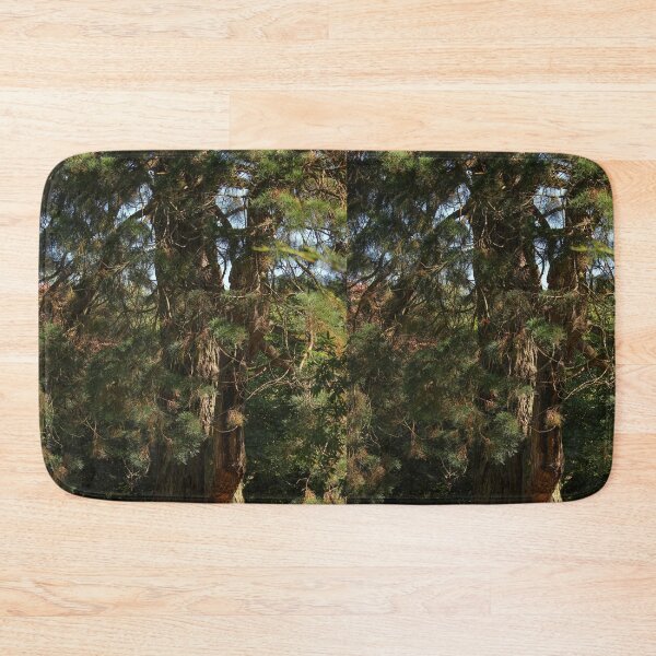 Item preview, Tree in the Late Summer Sun Vertical Mount Stewart Northern Ireland designed and sold by eddiebarronshop.