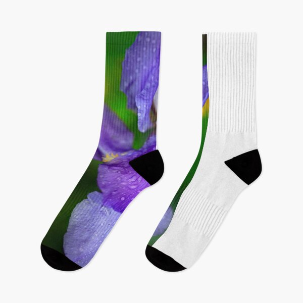 Aperçu de l'œuvre Fleur pluvieuse printanière pourpre créée et vendue par olena2552.