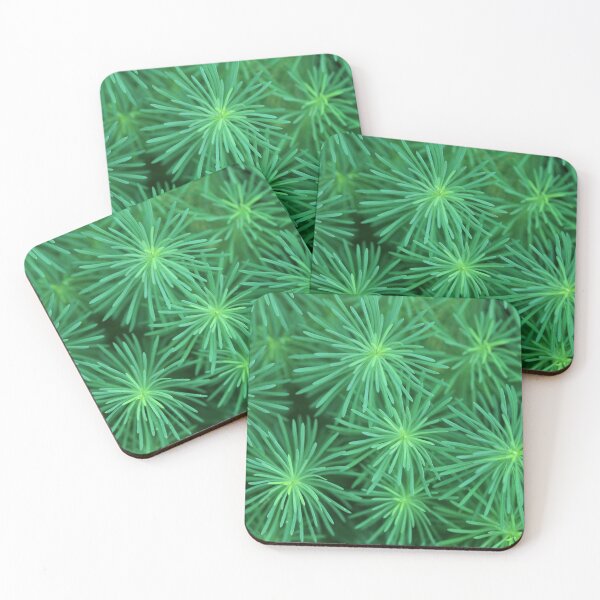 Item preview, Green plants in summer garden designed and sold by olena2552.