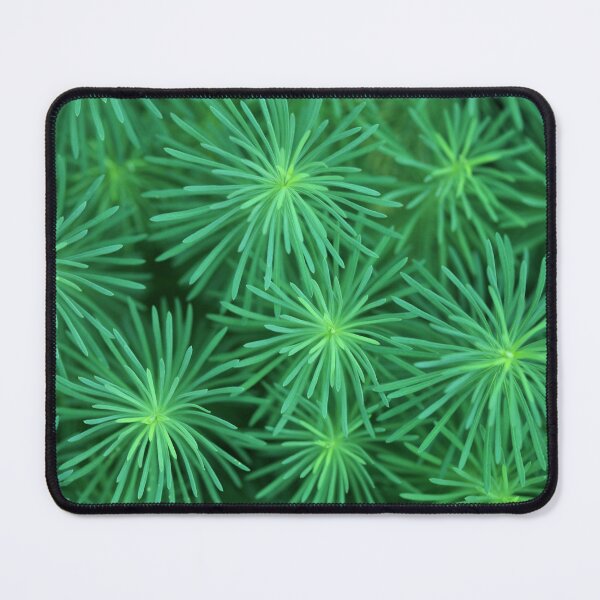 Item preview, Green plants in summer garden designed and sold by olena2552.