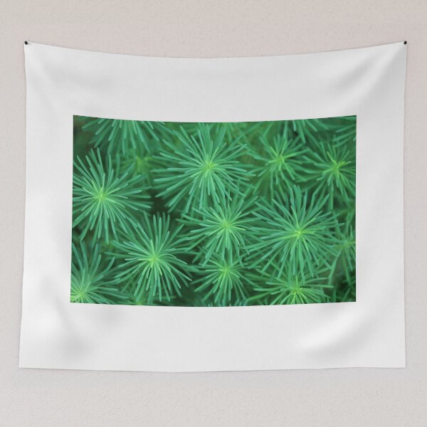 Item preview, Green plants in summer garden designed and sold by olena2552.