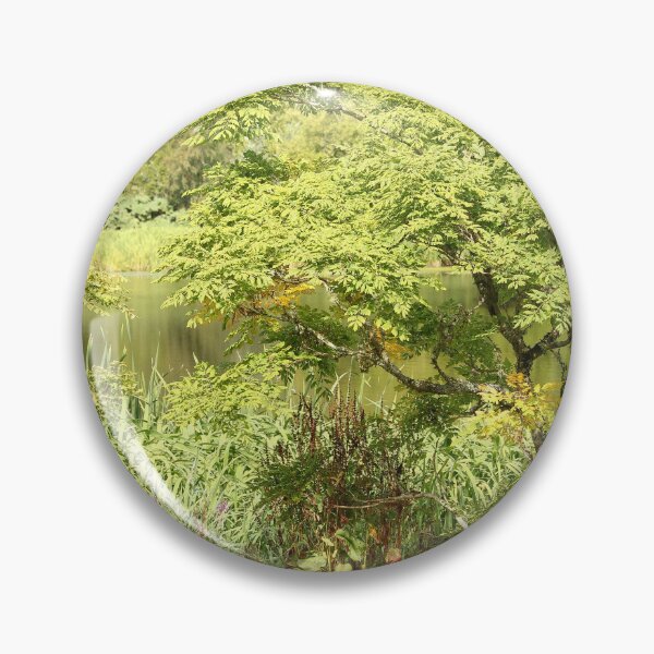 Item preview, In Nature by the Pond Mount Stewart Northern Ireland designed and sold by eddiebarronshop.