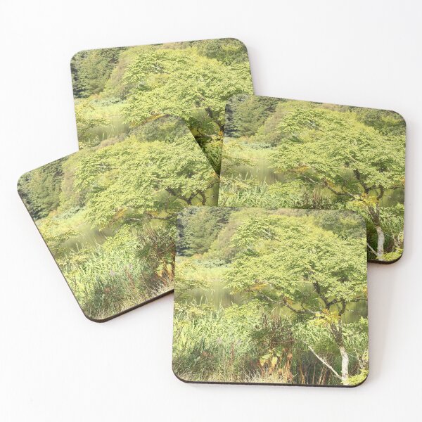 Item preview, In Nature by the Pond Mount Stewart Northern Ireland designed and sold by eddiebarronshop.