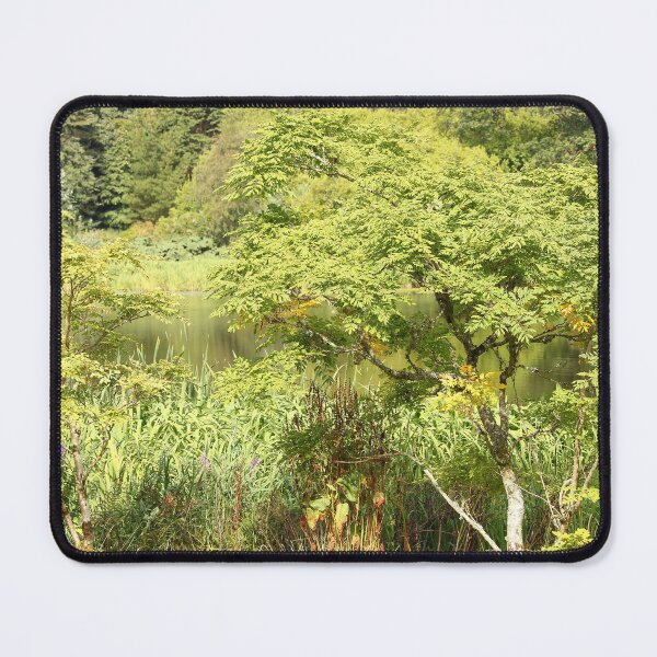 Item preview, In Nature by the Pond Mount Stewart Northern Ireland designed and sold by eddiebarronshop.