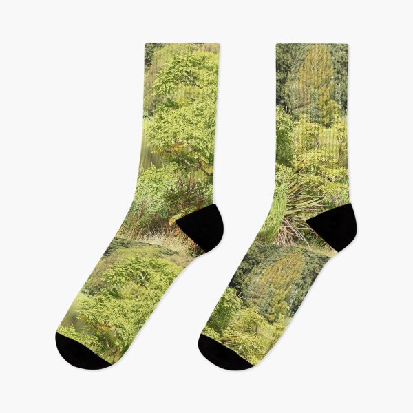 Item preview, In Nature by the Pond Mount Stewart Northern Ireland designed and sold by eddiebarronshop.