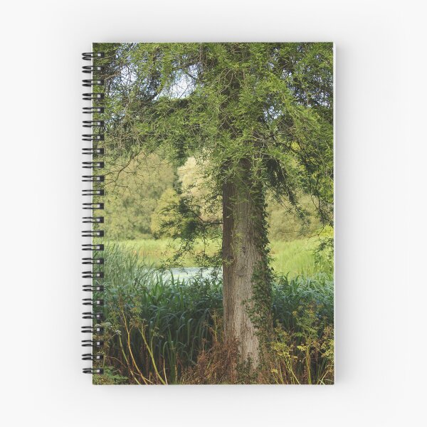 Item preview, Late Summer Park Walk Mount Stewart Pond Nature Lovers designed and sold by eddiebarronshop.
