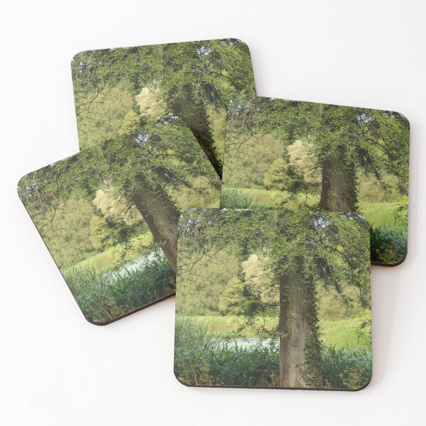 Item preview, Late Summer Park Walk Mount Stewart Pond Nature Lovers designed and sold by eddiebarronshop.