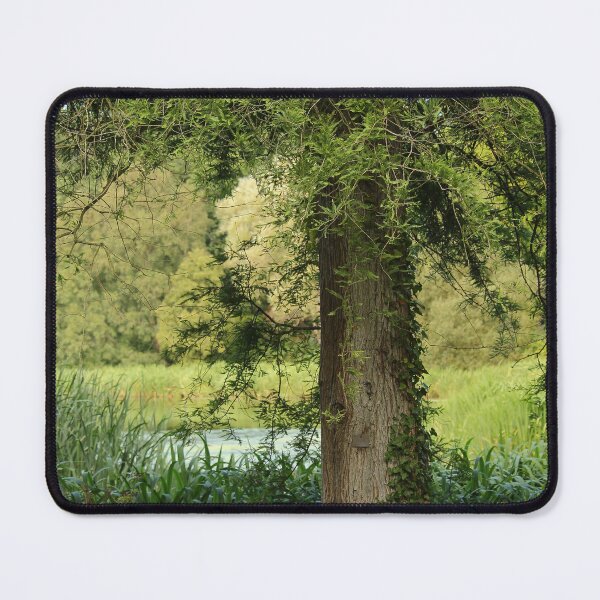 Item preview, Late Summer Park Walk Mount Stewart Pond Nature Lovers designed and sold by eddiebarronshop.