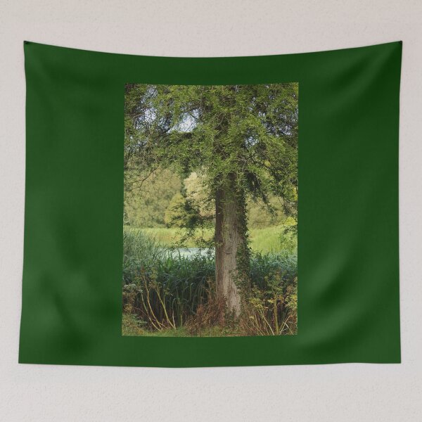 Item preview, Late Summer Park Walk Mount Stewart Pond Nature Lovers designed and sold by eddiebarronshop.