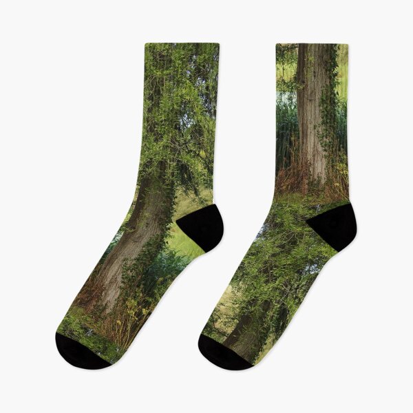 Item preview, Late Summer Park Walk Mount Stewart Pond Nature Lovers designed and sold by eddiebarronshop.