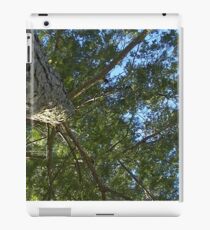 Windy Day - The Blue & The Green 027 iPad Case/Skin