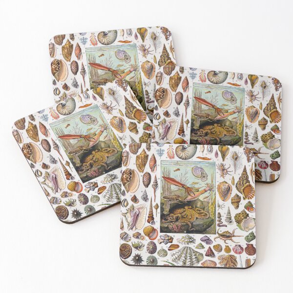 Item preview, Molluscs (1932) - Larousse du XXe siècle designed and sold by SALON DES ARTS.