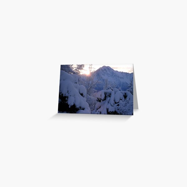Quiet~Still~Cold Greeting Card