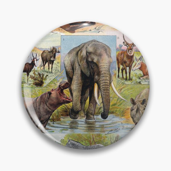 Item preview, Mammals (1932) - Larousse du XXe siècle designed and sold by SALON DES ARTS.