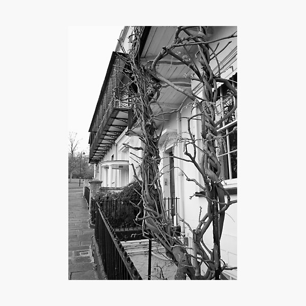 clifton Photographic Print