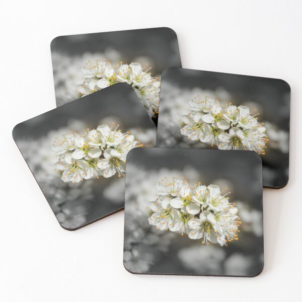 Item preview, Blackthorn designed and sold by JEZ22.