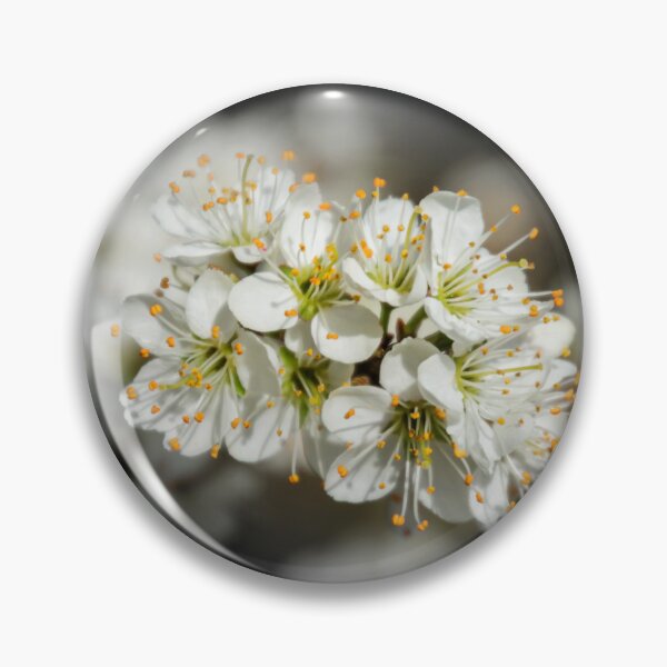 Item preview, Blackthorn designed and sold by JEZ22.