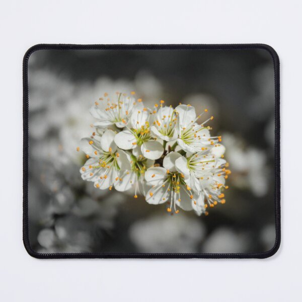 Item preview, Blackthorn designed and sold by JEZ22.