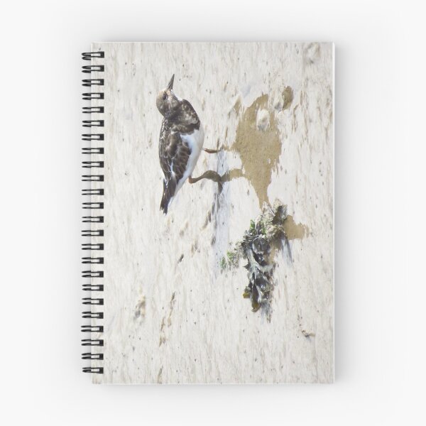 Item preview, Turnstone designed and sold by wiggyofipswich.