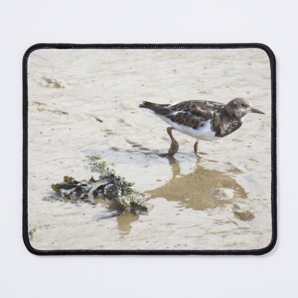 Item preview, Turnstone designed and sold by wiggyofipswich.