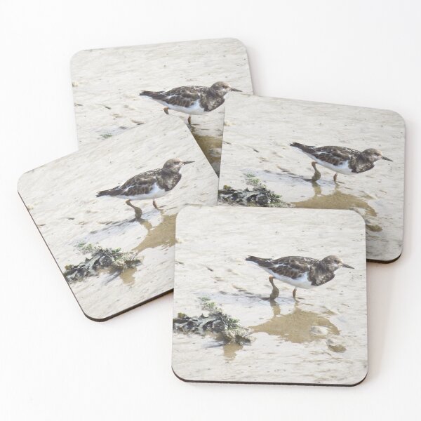 Item preview, Turnstone designed and sold by wiggyofipswich.