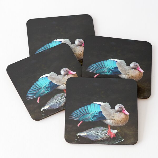 Item preview, Morning duck dance designed and sold by frankuffmann.