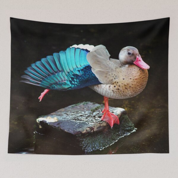 Item preview, Morning duck dance designed and sold by frankuffmann.