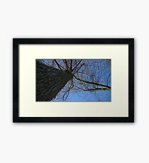 Windy Day - The Blue & The Green 038 Framed Print