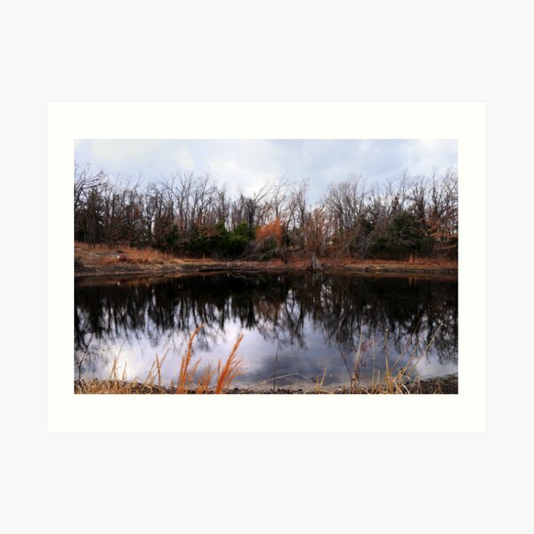Pond Life Art Print