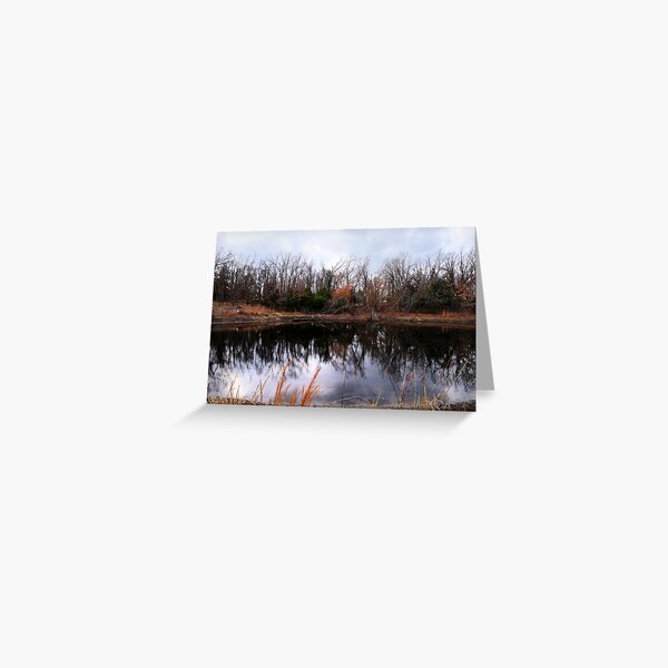 Pond Life Greeting Card
