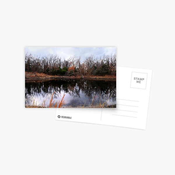 Pond Life Postcard