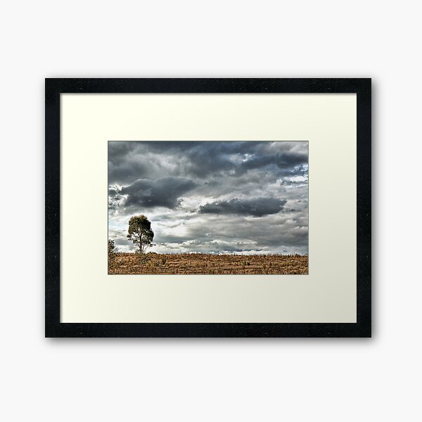 OneTree Hill Framed Art Print